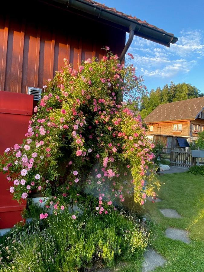 Doppelzimmer In Charmantem B&B Hemberg Exterior photo